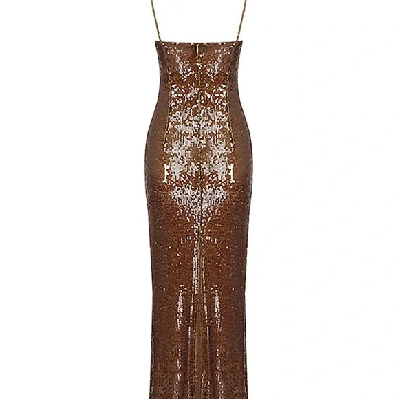 Brown Sequins Maxi Dress - Picture 4 of 8